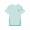 Flurry/Aquamarine